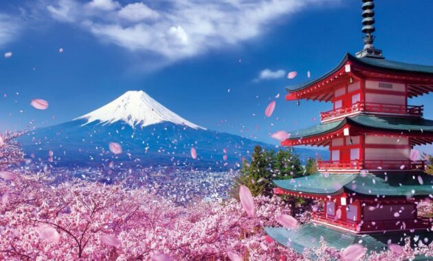 pemandangan alam buga sakura