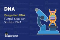 pengertian DNA