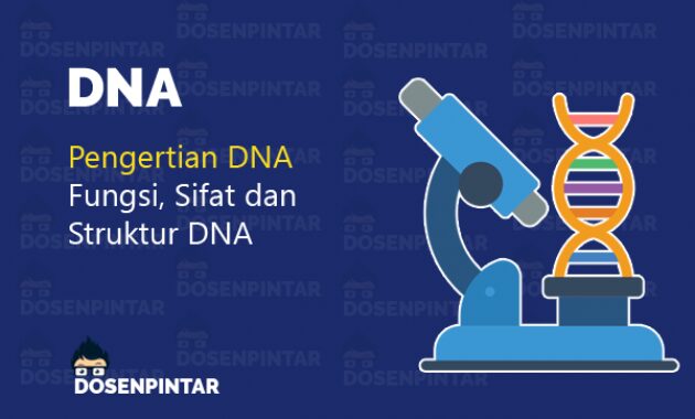 pengertian DNA