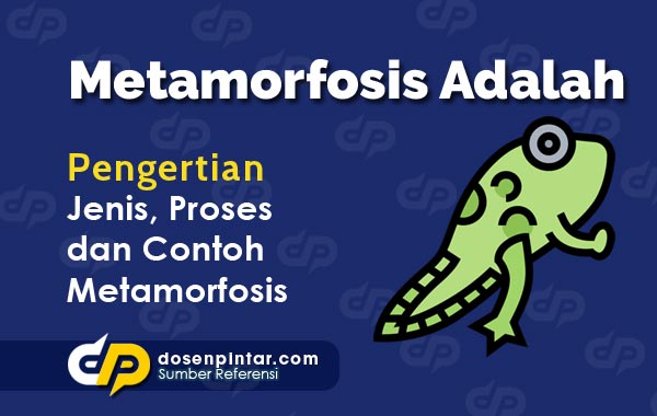 Metamorfosis - Pengertian, Ciri Jenis dan Contoh | dosenpintar.com