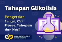 Tahapan Glikolisis